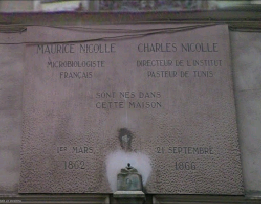 Charles%20Nicolle%27s%20birthplace%2C%20Rouen%20-%203.png